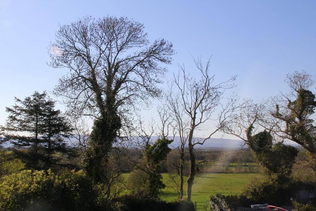 Woodview House Bed And Breakfast Ballinrobe Exteriér fotografie