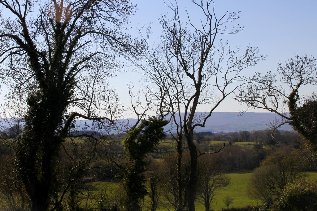 Woodview House Bed And Breakfast Ballinrobe Pokoj fotografie